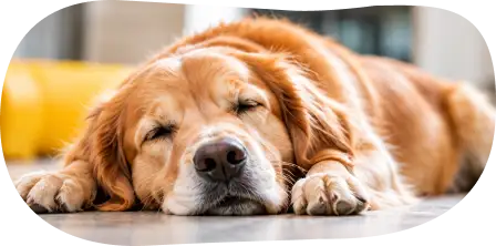 Rest & recovery